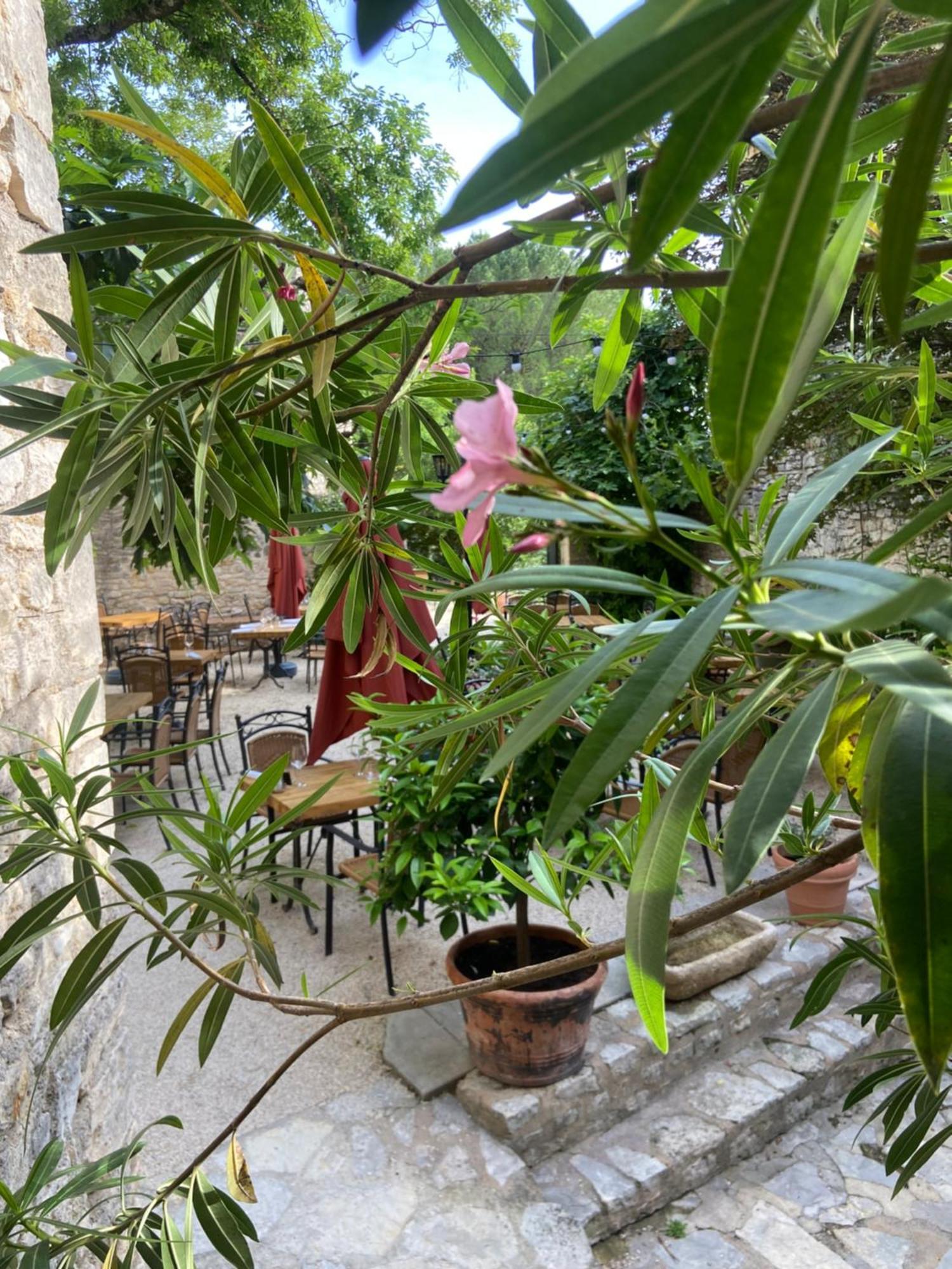 Hotel Restaurant Clos Des Sullys Montclus  Bagian luar foto